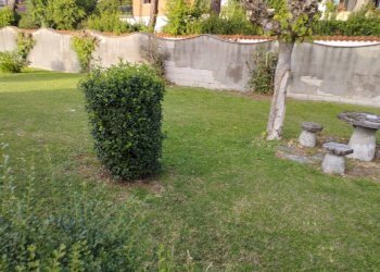 Foto 12 - Casa indipendente Via XXV aprile, Castelfranco di Sotto - foto 12