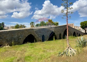 Giardino - Appartamento piazza ponte Ammiraglio
 
245, Palermo - foto 22