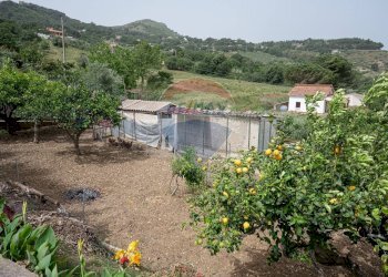 Vista delle montagne - Villa contrada cangemi, Termini Imerese - foto 3