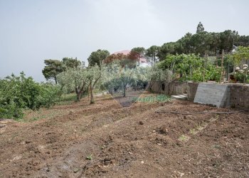 Giardino - Villa contrada cangemi, Termini Imerese - foto 6