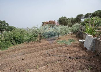 Giardino - Villa contrada cangemi, Termini Imerese - foto 7