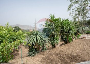 Giardino - Villa contrada cangemi, Termini Imerese - foto 10