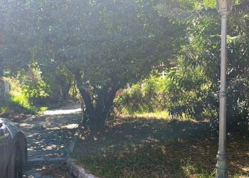 Foto 14 - Villa Via Torquato Tasso
 
7, Nocera Inferiore - foto 14