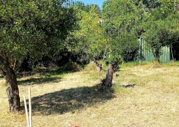 Foto 17 - Villa Via Torquato Tasso
 
7, Nocera Inferiore - foto 17
