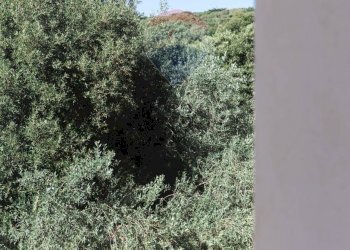 Non correlato - Villa Sassari - foto 80