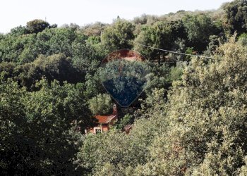 Giardino - Villa Sassari - foto 104