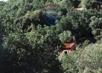 Giardino - Villa Sassari - foto 105