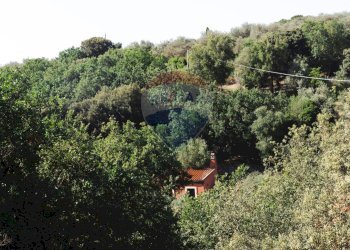 Giardino - Villa Sassari - foto 108