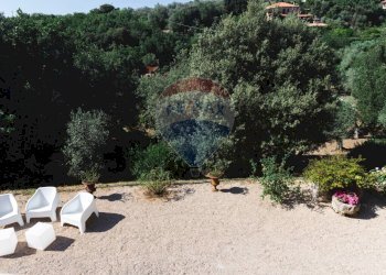 Giardino - Villa Sassari - foto 109