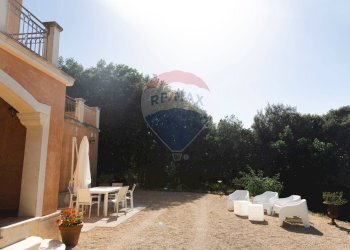 Giardino - Villa Sassari - foto 124