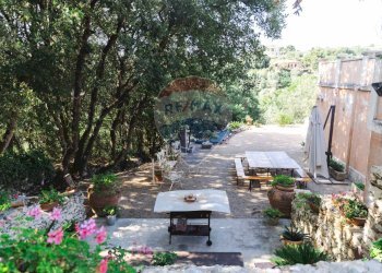 Giardino - Villa Sassari - foto 130