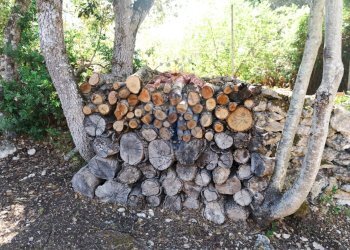 Giardino - Villa Sassari - foto 138