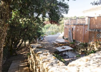 Giardino - Villa Sassari - foto 139