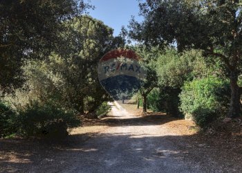 Giardino - Villa Sassari - foto 142