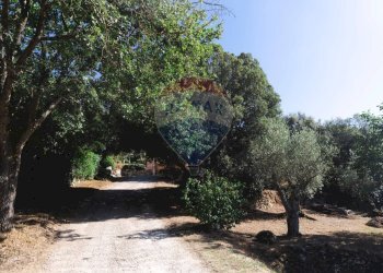 Giardino - Villa Sassari - foto 144