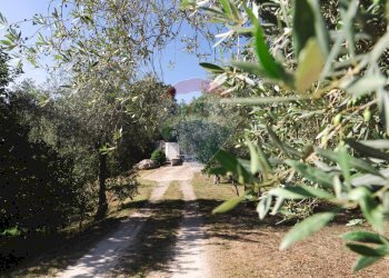 Giardino - Villa Sassari - foto 145