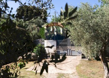 Giardino - Villa Sassari - foto 148