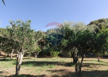 Giardino - Villa Sassari - foto 149