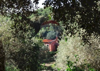 Giardino - Villa Sassari - foto 150