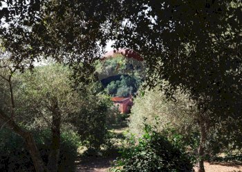 Giardino - Villa Sassari - foto 151
