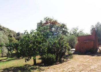 Giardino - Villa Sassari - foto 152