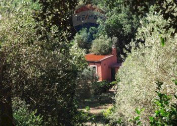 Giardino - Villa Sassari - foto 153
