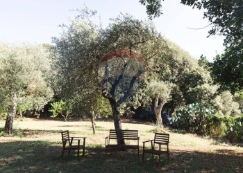 Giardino - Villa Sassari - foto 165