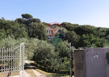 Giardino - Villa Sassari - foto 170