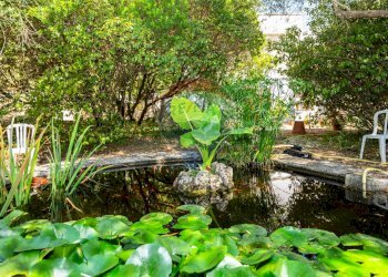 Giardino - Villa Regione Filigheddu
 
snc, Sassari - foto 50