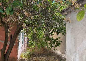 Foto 30 - Casa indipendente via Satta
 
4, Tula - foto 30