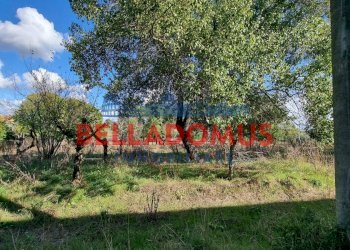 Foto 19 - Rustico Via del Tufello
 
23, Aprilia - foto 19