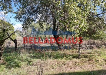 Foto 21 - Rustico Via del Tufello
 
23, Aprilia - foto 21