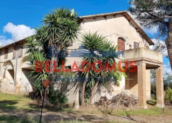 Foto 25 - Rustico Via del Tufello
 
23, Aprilia - foto 25