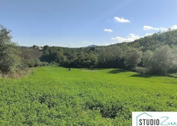 Foto 7 - Rustic Avigliano Umbro - photo 7