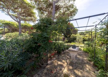 Foto 35 - Villa Strada Provinciale della Giannella
 
191, Orbetello - foto 35