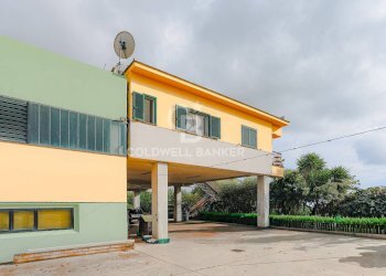 Foto 5 - Magazzino viale degli artigiani, Genzano di Roma - foto 5