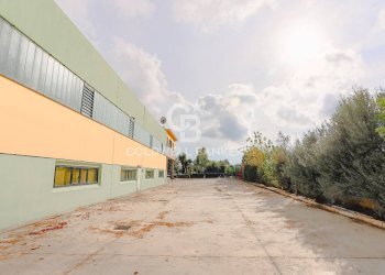 Foto 6 - Magazzino viale degli artigiani, Genzano di Roma - foto 6