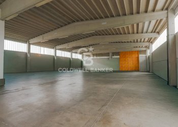 Foto 10 - Magazzino viale degli artigiani, Genzano di Roma - foto 10