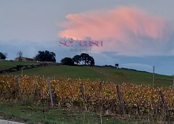 Foto 4 - Independent house Magliano in Toscana - photo 4