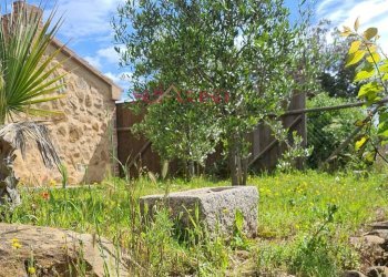 Foto 5 - Independent house Magliano in Toscana - photo 5