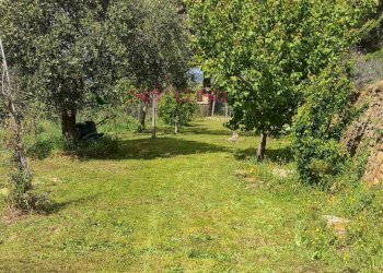 Foto 7 - Independent house Magliano in Toscana - photo 7