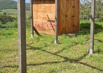 Foto 16 - Independent house Magliano in Toscana - photo 16