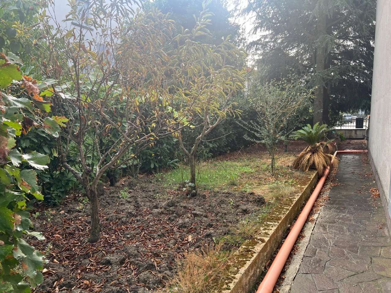 whatsapp image 2025-09-24 at 14.08.25 (5) - Villa a Schiera via Facchini, Medicina - foto 2