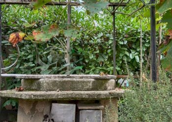 whatsapp image 2025-09-29 at 11.41.19 (3) - Villa a Schiera via Facchini, Medicina - foto 40