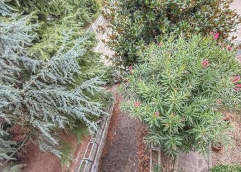 whatsapp image 2025-09-29 at 11.41.20 - Villa a Schiera via Facchini, Medicina - foto 41