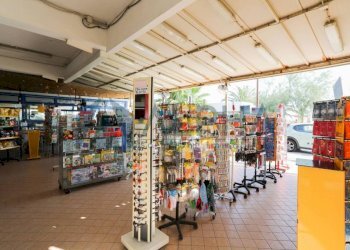 Interno non residenziale - Bar - Tabacchi - Ricevitoria viale Garian, Rimini - foto 15