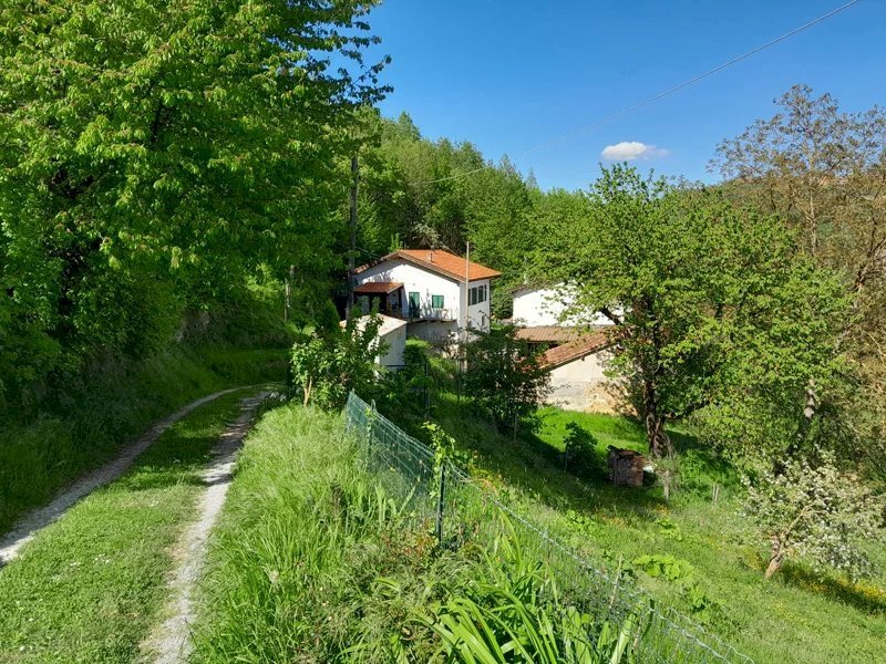 Casa indipendente Castellino Tanaro - foto 2