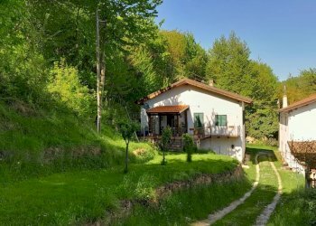 Casa indipendente Castellino Tanaro - foto 1