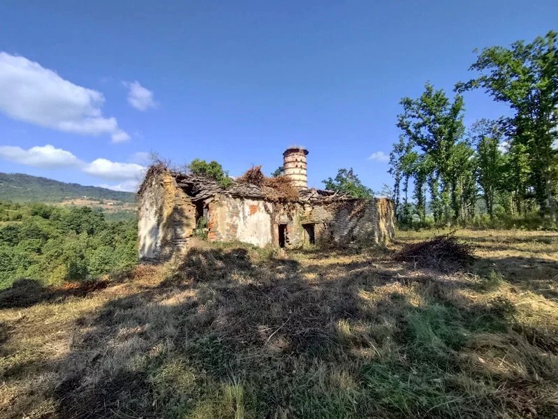 Villa Camerana - photo 2