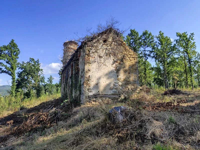 Villa Camerana - photo 3